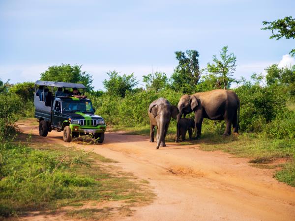 Best of Sri Lanka, 12 days