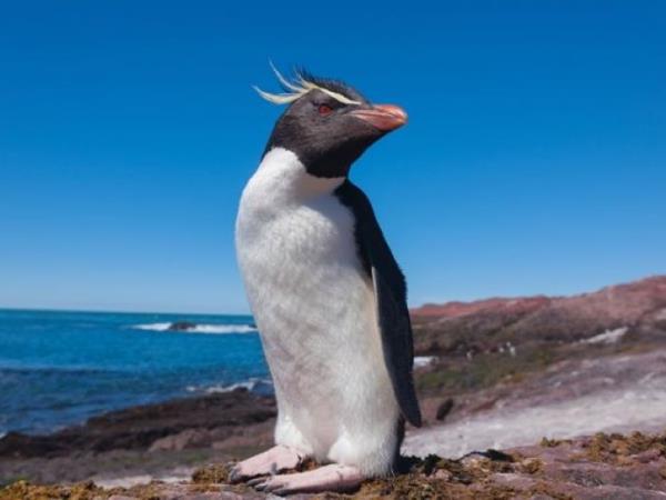 Argentina nature and culture vacation