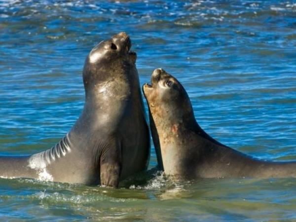 Argentina nature and culture vacation