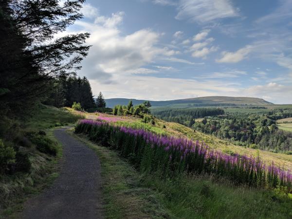 Northern Ireland tailor made hiking vacation