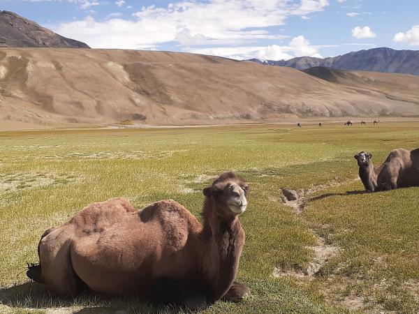 Afghanistan vacation, the Wakhan Corridor