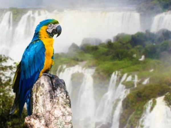 Northern Argentina tailor made vacation