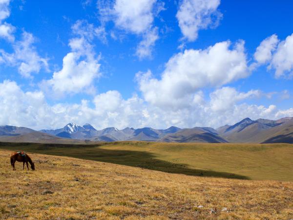 Central Asia budget adventure tour