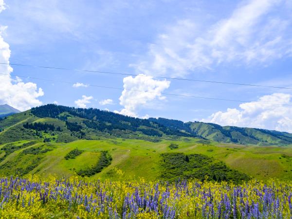 Central Asia budget adventure tour