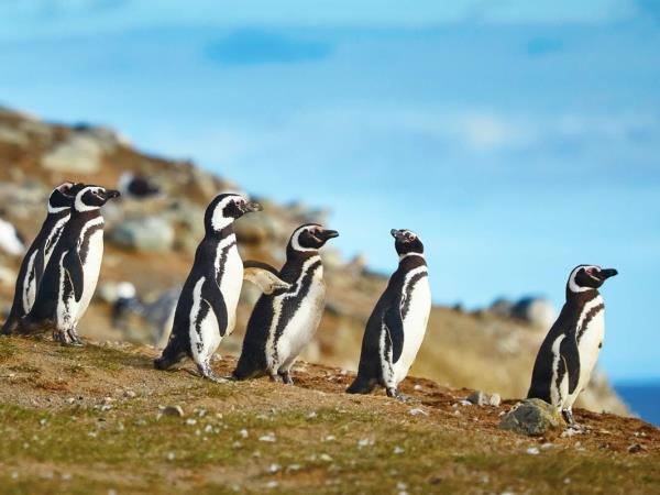 Patagonia vacations, 2 week tailor made tour