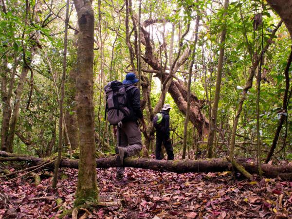 Kerala tours, three weeks in Kerala