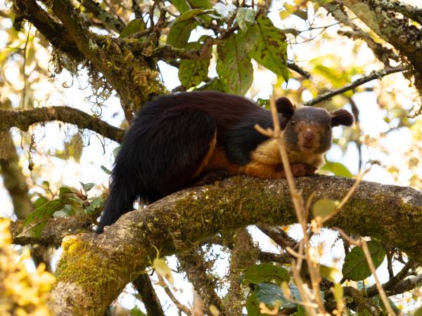 Kerala tours, three weeks in Kerala