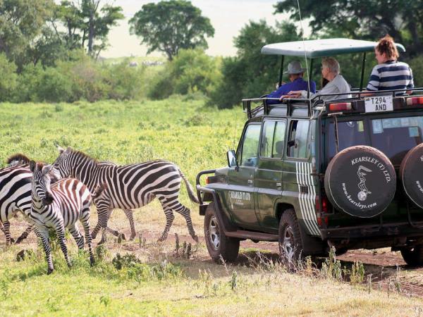 Tanzania wildlife vacation, Serengeti safari