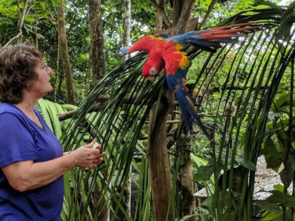 Family volunteering at wildlife rescue centre, Costa Rica