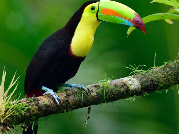 Costa Rica cycling tour
