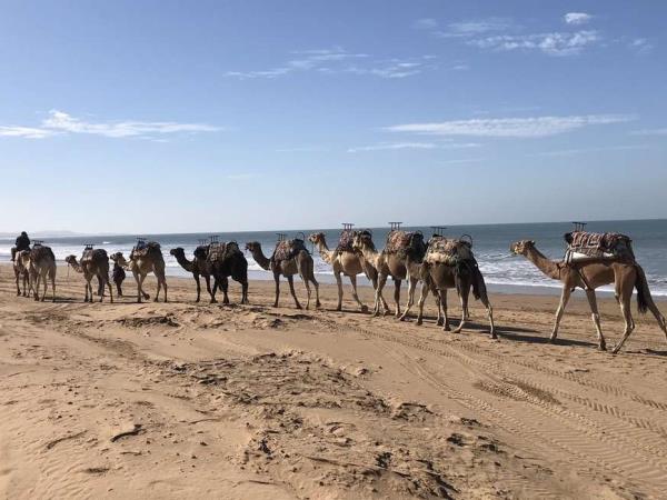 Grand tour of Morocco