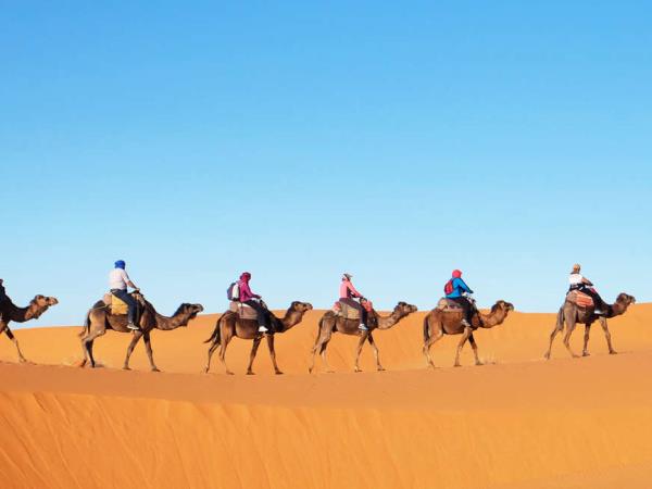 Highlights of Morocco tour