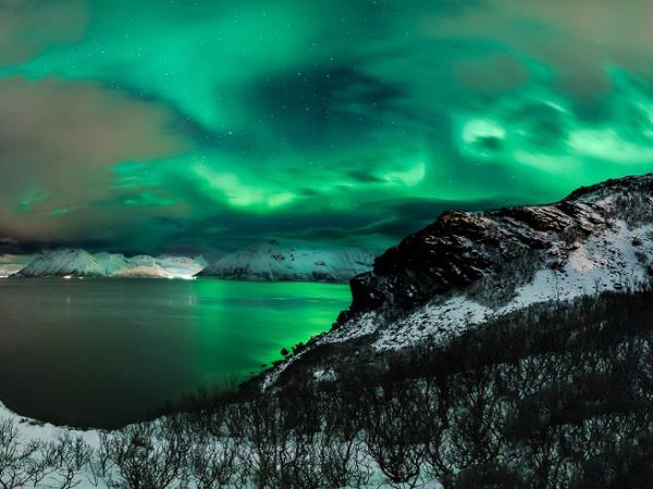 Swim with orcas in Norway, Northern Lights