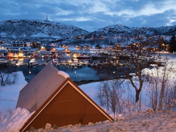 Swim with orcas in Norway, Northern Lights