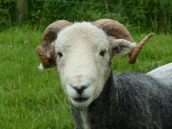 The Cumbrian Way walking vacation in England
