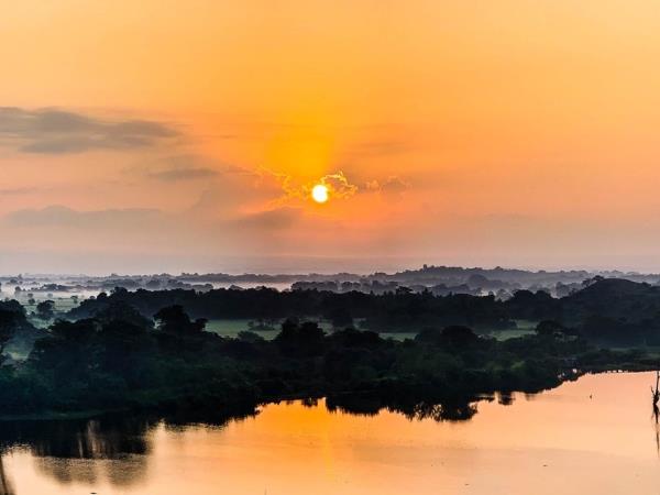Online Sri Lankan elephant research and conservation course