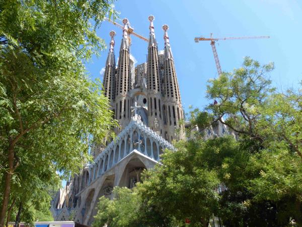 Online volunteering to support charities in Spain