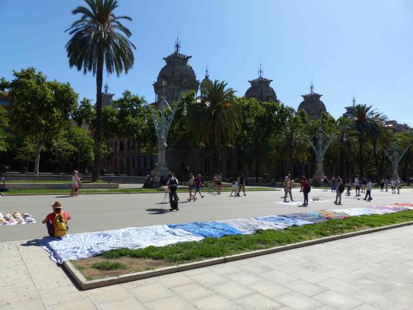 Online volunteering to support charities in Spain