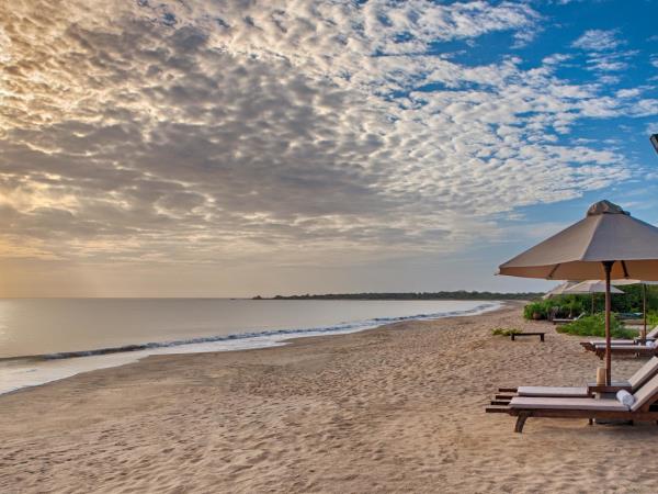 Swim with Blue Whale and safari in Sri Lanka