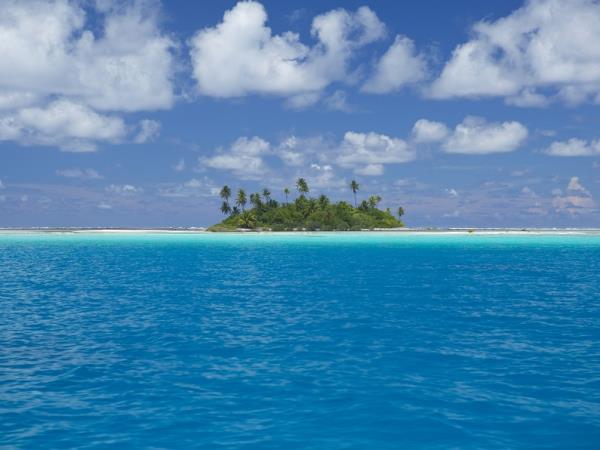 Whales and wildlife tour in Tahiti