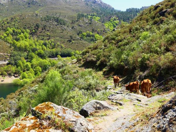 Peneda-Gerês National Park walking vacation in Portugal