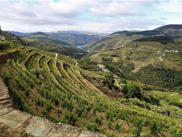 Douro Valley self guided walking vacation in Portugal