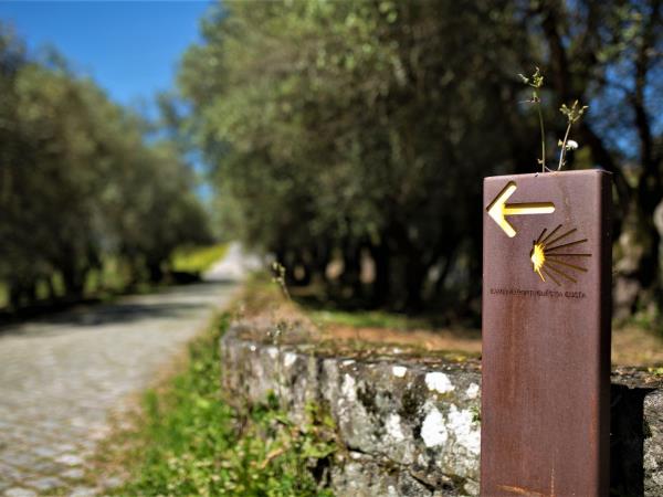 Portuguese Coastal Way to Santiago walking vacation