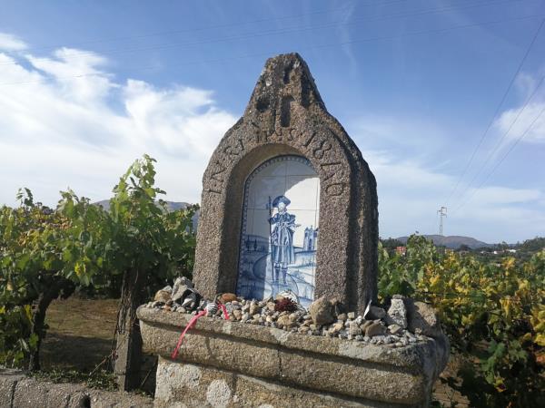 Portuguese Camino de Santiago walking vacation