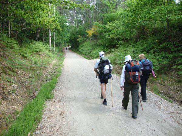 Portuguese Camino walking vacation