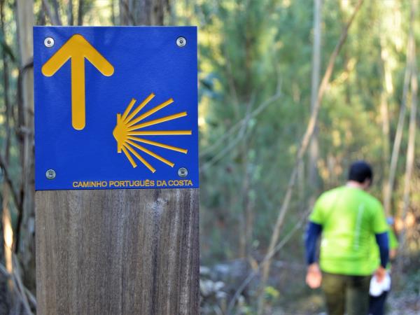 Portuguese Coastal Camino walking vacation, last 100km