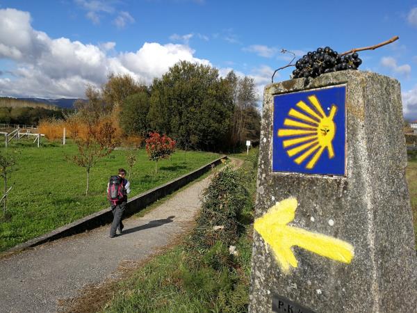 Easy Camino de Santiago hiking vacation