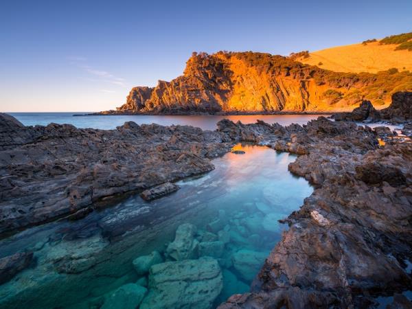 Kangaroo Island dolphin swim and tour, South Australia