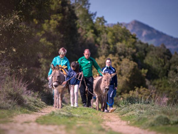 Trekking with donkeys in Sardinia