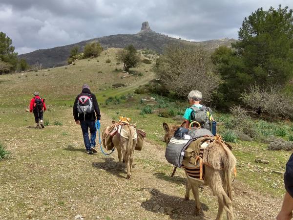 Trekking with donkeys in Sardinia