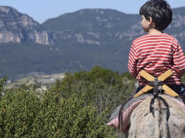 Trekking with donkeys in Sardinia