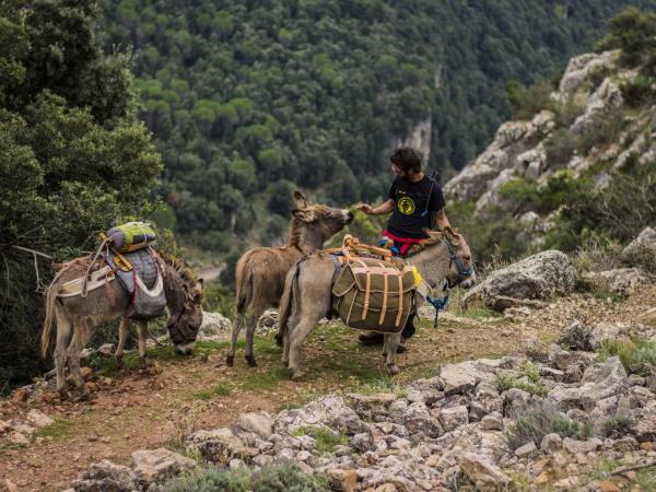 Trekking with donkeys in Sardinia