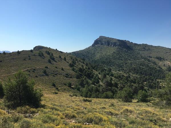 Sierra de Mariola walking vacation in Costa Blanca