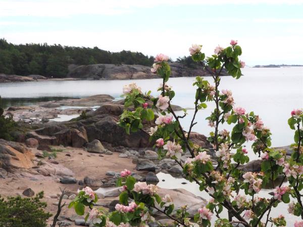 Finland short break