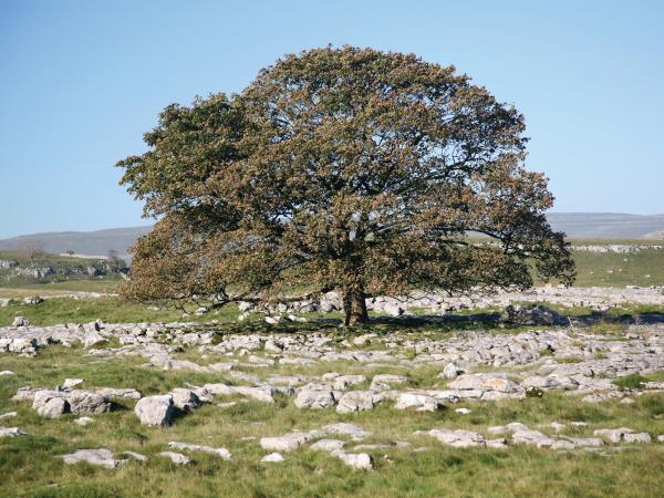 The Dales Way walking vacation in England
