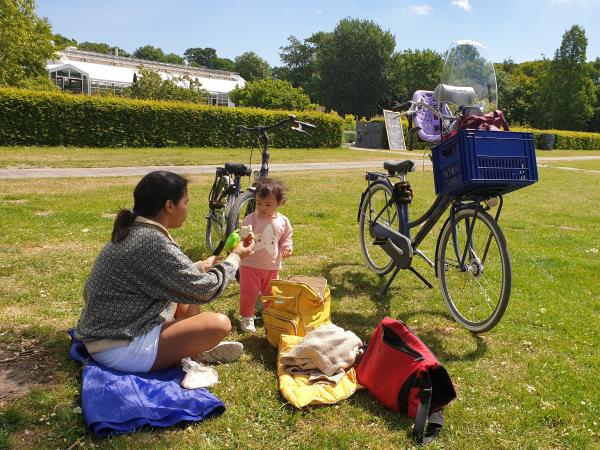 Amsterdam cycling tour in Holland