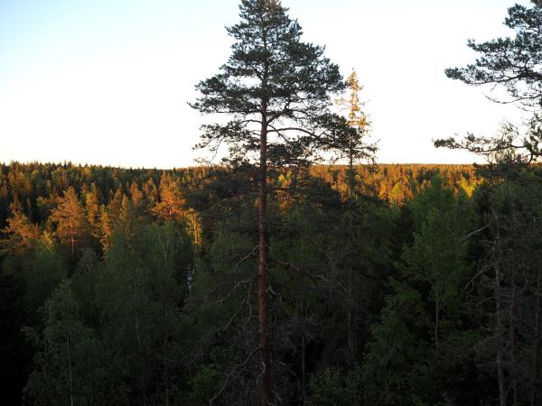 Finland activity vacation in Nuuksio National Park