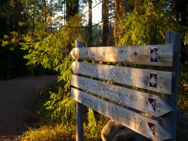 Finland activity vacation in Nuuksio National Park