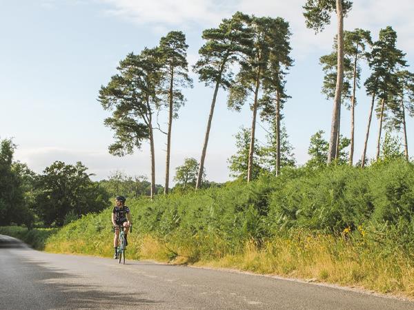 Electric bike cycling vacation in Sussex