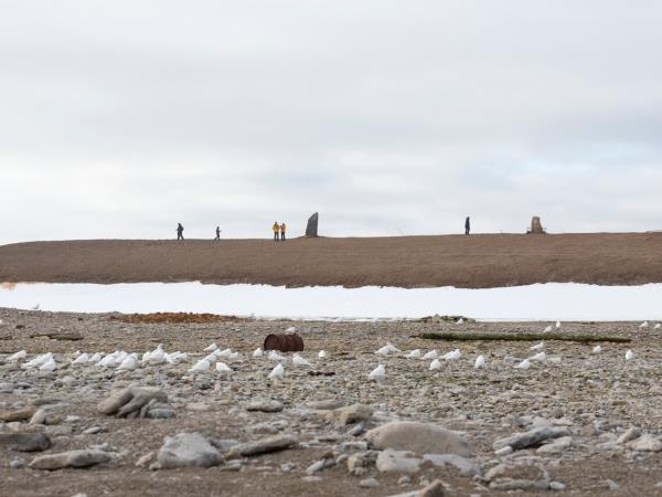 Northern Sea Route expedition cruise, 19 days