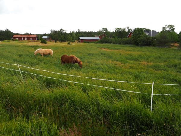 Cycling vacation in the Finnish Archipelago
