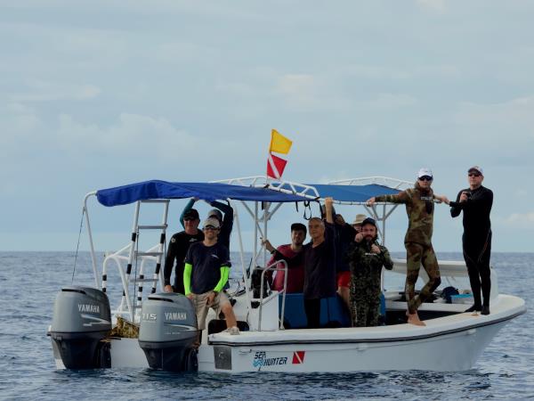 Swim with whales in the Dominican Republic