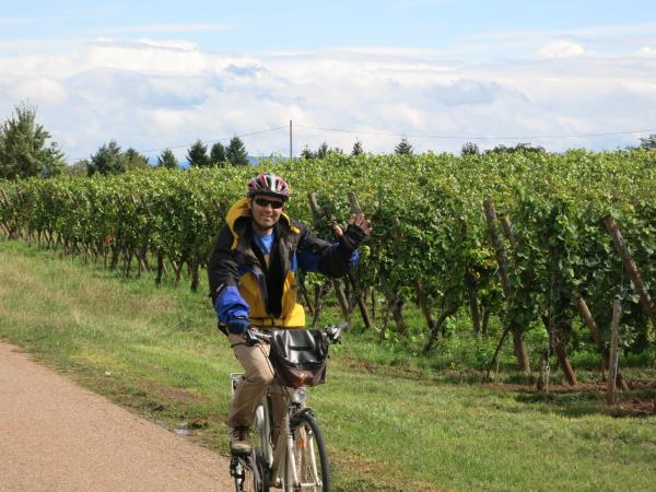 Alsace cycling vacation in France