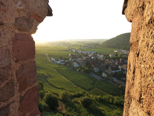 Alsace cycling vacation in France