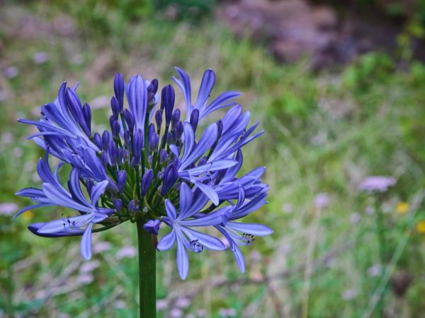 2 weeks walking holiday in Madeira