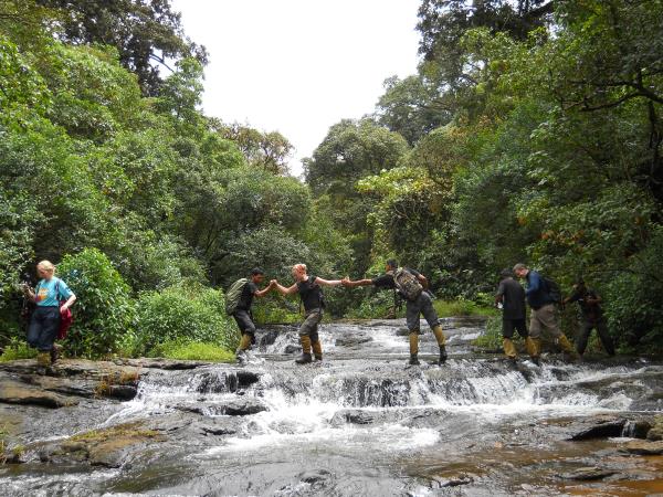 Vegan activity holiday in Kerala